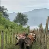 Edwin Navarro - @edwin.navarro18 - TikTok
