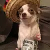 Edwin Navarro - @edwin.navarro65 - TikTok