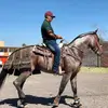 Edwin Negrete - @negrete_edwin1 - TikTok