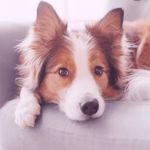 Edwin Neumann - @edwin.neumann.777 - Instagram