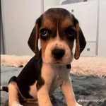 edwin - @edwin.newyorkcity5053 - Instagram