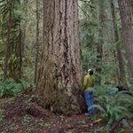 Michael Edwin - @michael.e.newberry - Instagram