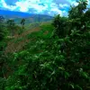 Edwin Nieto - @edwin.nieto6 - TikTok