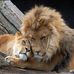Edwin Nugent - Facebook