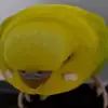Edvin Nyberg - @edvin.nyberg8 - TikTok