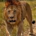 Edwin Nyika Manyepwa - Facebook