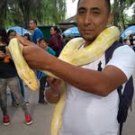 Edwin Robert Torres Ocaña - @elchacaldelinsta - Instagram