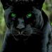 Ed Ohara - Facebook
