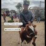 Edwin Olaya - @edwinjavierolaya - Instagram