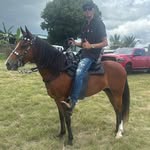 Edwin Oneill - @edwin.oneill.927 - Instagram