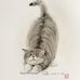 Edwin Ong - Facebook