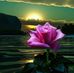 Edwin Oquendo - Facebook