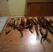 Edwin Oquendo - Facebook