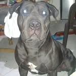 Edwin Orozco - @edwin.orozco.104 - Instagram