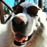 Edwin Östlund - @ostlundedwin - Instagram