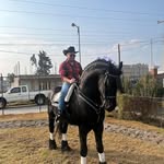 Fernando Ovalle - @_edwin_ovalle - Instagram