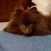 Ed Overton - Facebook