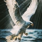 Edwin Padua - @paduaedwin55 - Instagram