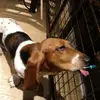 Edwin_Paje_Detecio_J - @Edwin_Paje_Deteci - TikTok