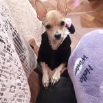 Edwin Palafox - @palafox8687 - Instagram