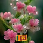 Edwin Potter - Facebook