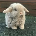 Edwin Presley Howsyon - @edwinprest_ - Instagram