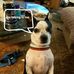 Edwin Pryor - Facebook