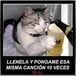 Edwin Quesada - @quesada_edwin - Instagram