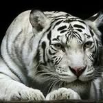 Edwin Quijano - @edwinquijano42 - Instagram