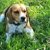 Edwin Quijano - @edwin.quijano0 - TikTok