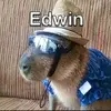 EdwinQuinn - @edwinquinn - TikTok