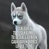 edwinquito406 - @edwinquito406 - TikTok