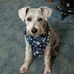 Edwin Randolph - Facebook