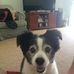 Ed Ratcliffe - Facebook