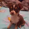 Edwin Raul - @edwin.raul6 - TikTok