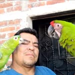 Edwin Rauda - @edwinrrauda - Instagram