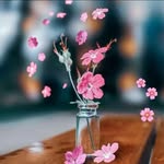 Edwin Rayar - @edwin.rayar.5 - Instagram