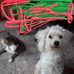 Edwin Recalde - Facebook
