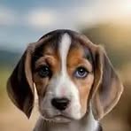 Edwin Reed - Facebook