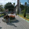Edwin Rendon Montes - @edwinrendonm - TikTok