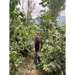Edwin Castellanos - @edwin.renderos.39 - Instagram
