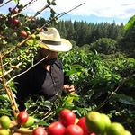Edwin Rendon - @brtrndn - Instagram