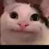 edwinrenn2 - @edwinrenn2 - TikTok