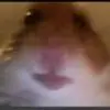 edwinrenn3 - @edwinrenn3 - TikTok