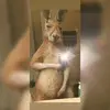 Edwin Reyna - @edwin.reyna0 - TikTok