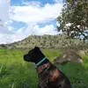 Edwin Reza - @edwin.reza1 - TikTok