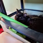 Marley Edwin rieger - @marley0209hi - Instagram
