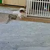 Edwin Riveros - @edwin.riveros4 - TikTok