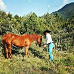 Edwin Robledo - @edwinrobledo_ - Instagram