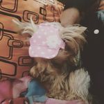 Edwin Andres Bravo Roncancio - @bravoroncancio - Instagram